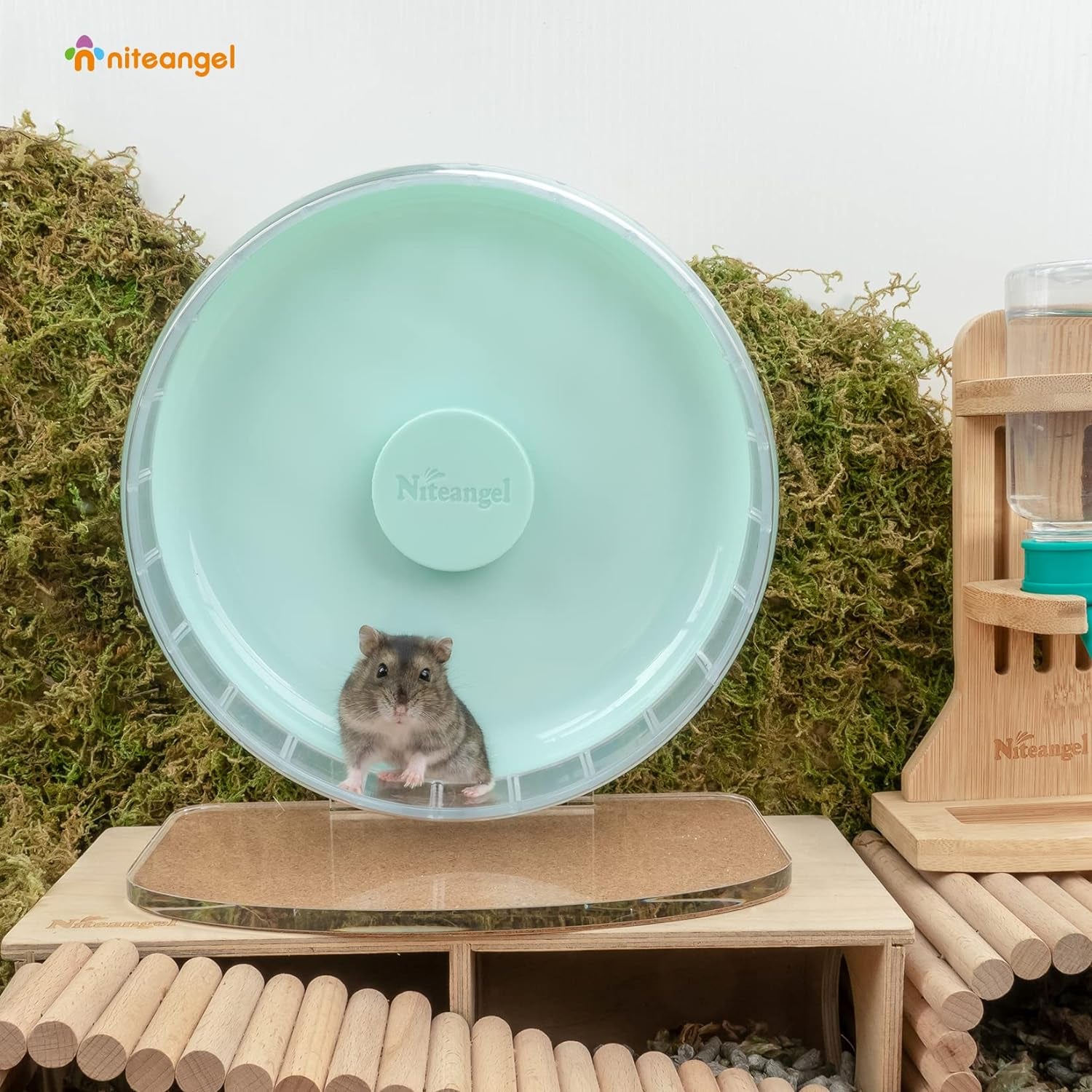 Super-Silent Hamster Exercise Wheels: - Quiet Spinner Hamster Running Wheels with Adjustable Stand for Hamsters Gerbils Mice or Other Small Animals (S, Mint Green)