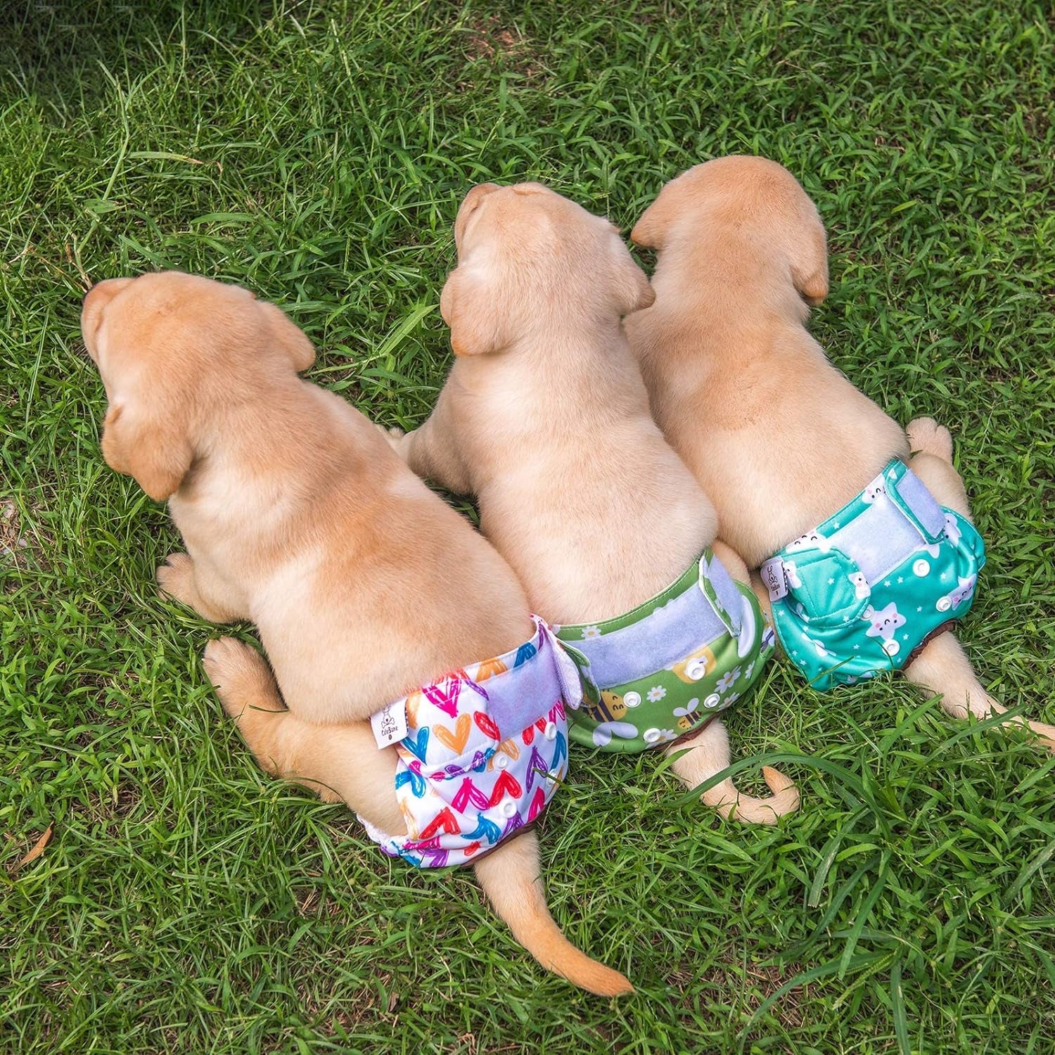 Reusable Dog Diapers Female Small Medium Large 3 Pack Washable Doggie Diapers Puppy Period Pants for Doggy Heat Cycle Peeing D29XS