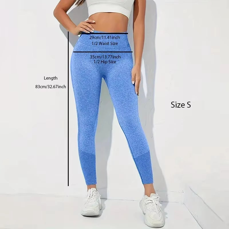 Yoga Basic 3Pcs Fitness Gym Tights Seamless Hip-Hugging Tummy Control Yoga Leggings with Punch Out Holes